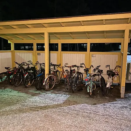 Daire Matka Mystical Lapland